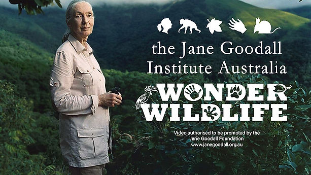 Wounda's Journey Jane Goodall Australia
